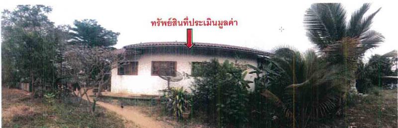 40/7 หมู่ที่ 8  สากเหล็ก สากเหล็ก พิจิตร