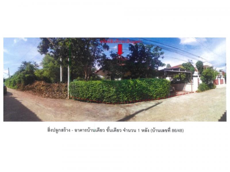 ในเมือง เมืองพิจิตร พิจิตร