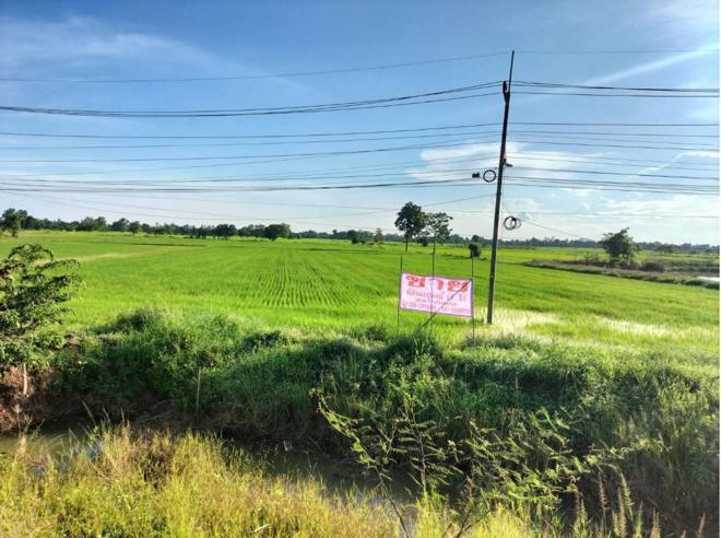 หนองปลาไหล วังทรายพูน พิจิตร