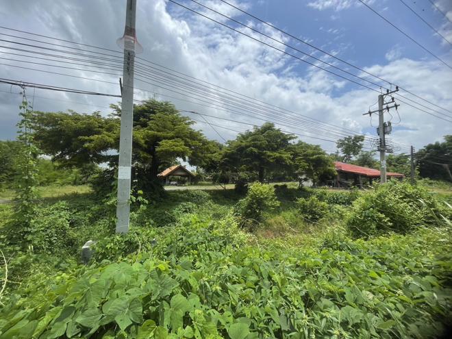 วังหลุม ตะพานหิน พิจิตร