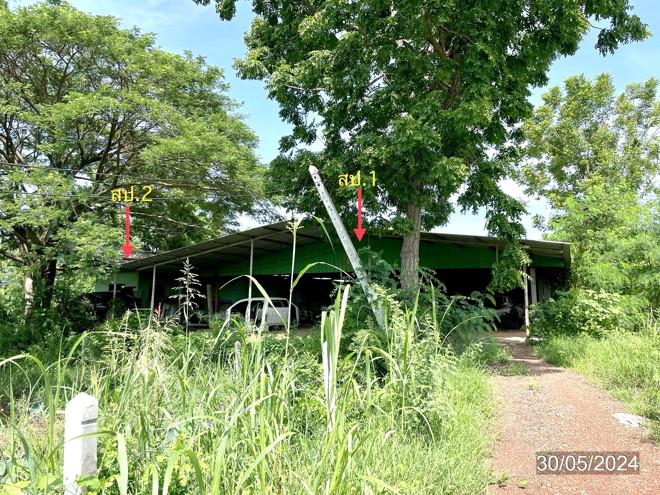 ฆะมัง เมืองพิจิตร พิจิตร