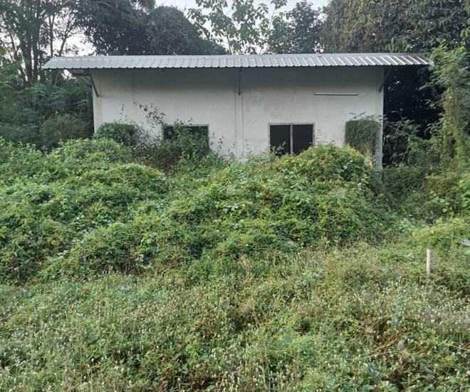 ห้วยเกตุ ตะพานหิน พิจิตร